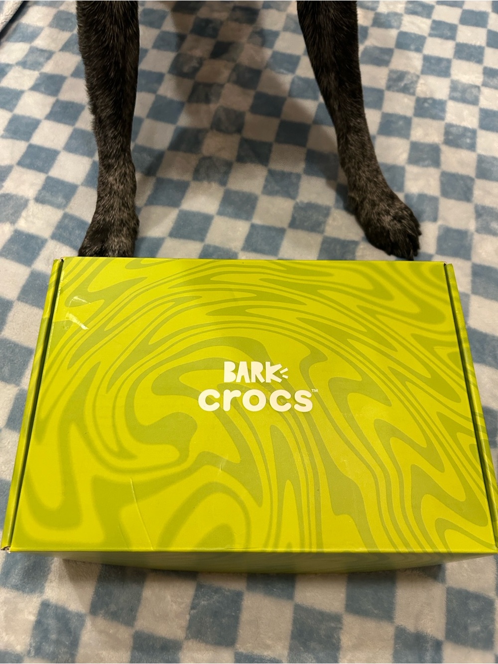 BARK Dog Crocs - Picture 5 of 6